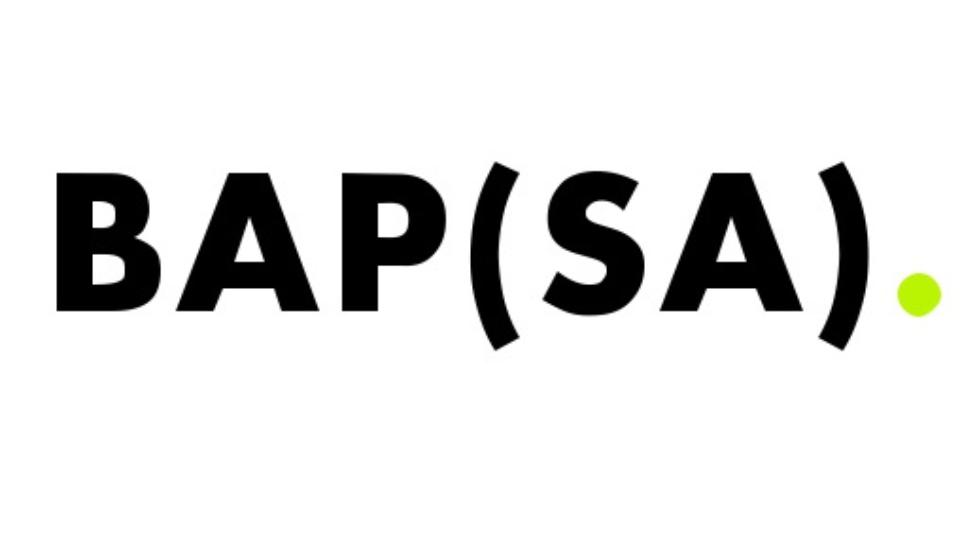 Business Accountant in Practice